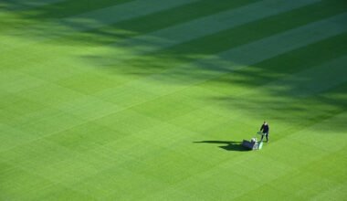 top 6 lawn problems britons ignore for too long