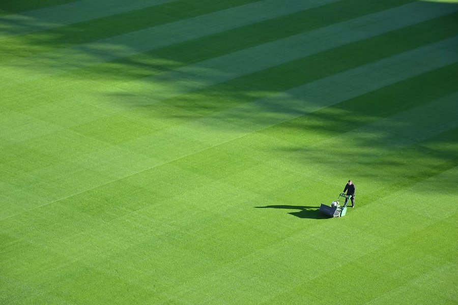 top 6 lawn problems britons ignore for too long