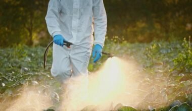 sneaky signs you may have a pest problem