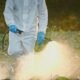 sneaky signs you may have a pest problem